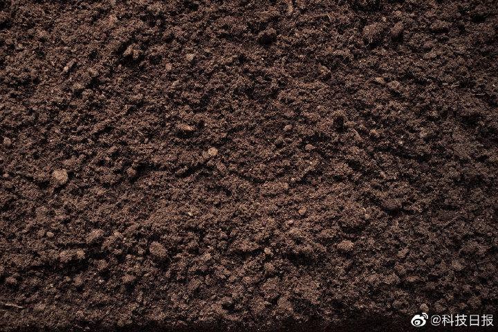 河南鹤壁发现富硒土壤4.8万多亩