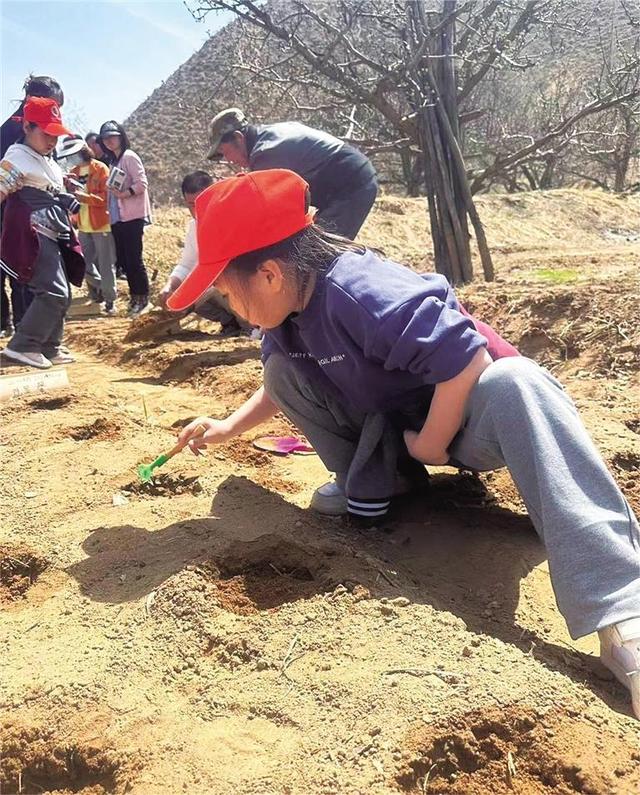 张掖路小学开启"种菜课"劳动实践