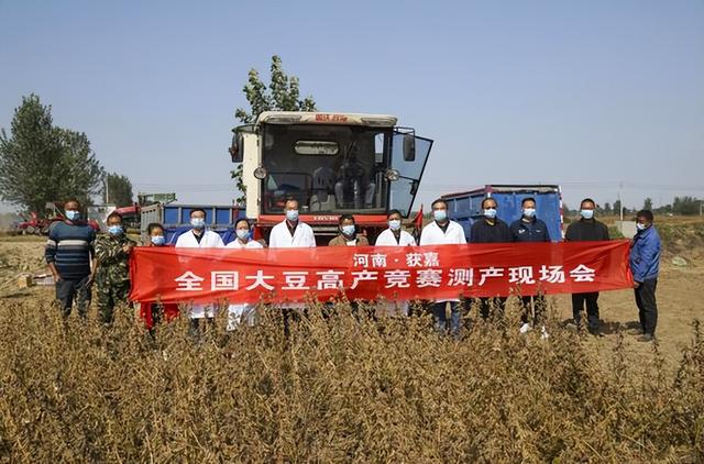获嘉大豆创河南大豆亩产最高纪录