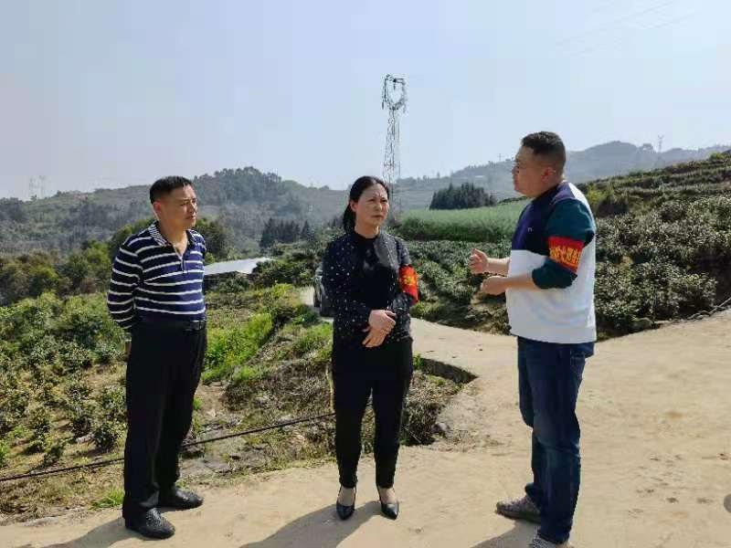 沙湾区:汪秀丽督导公墓区 森林防火和文明祭祀等工作