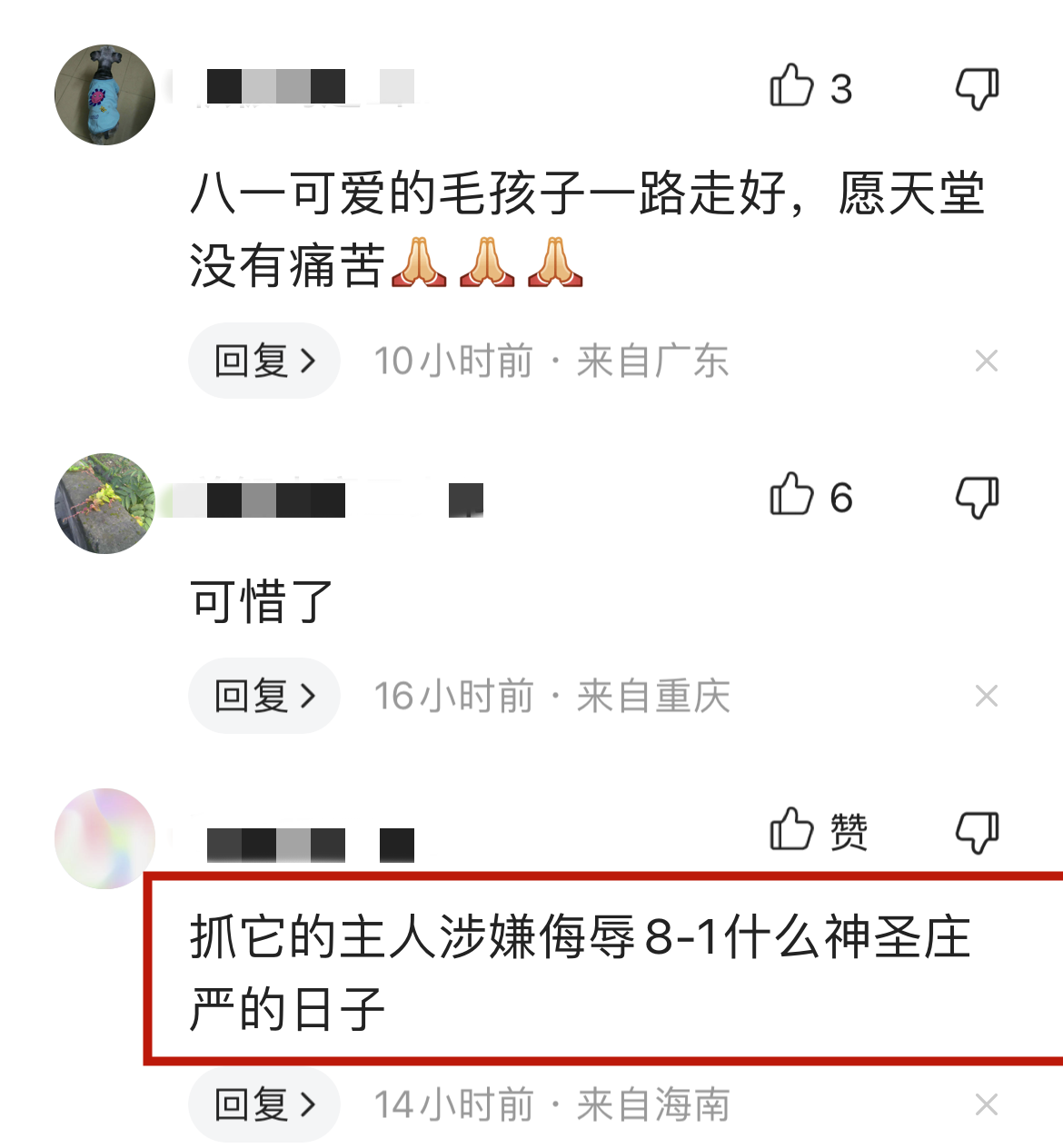 李昊石事件再度重演?网红狗狗"八一"去世,因名字遭网友抨击