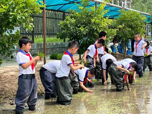 石景山区爱乐实验小学 出发!去体验"盘中餐"的粒粒皆辛苦