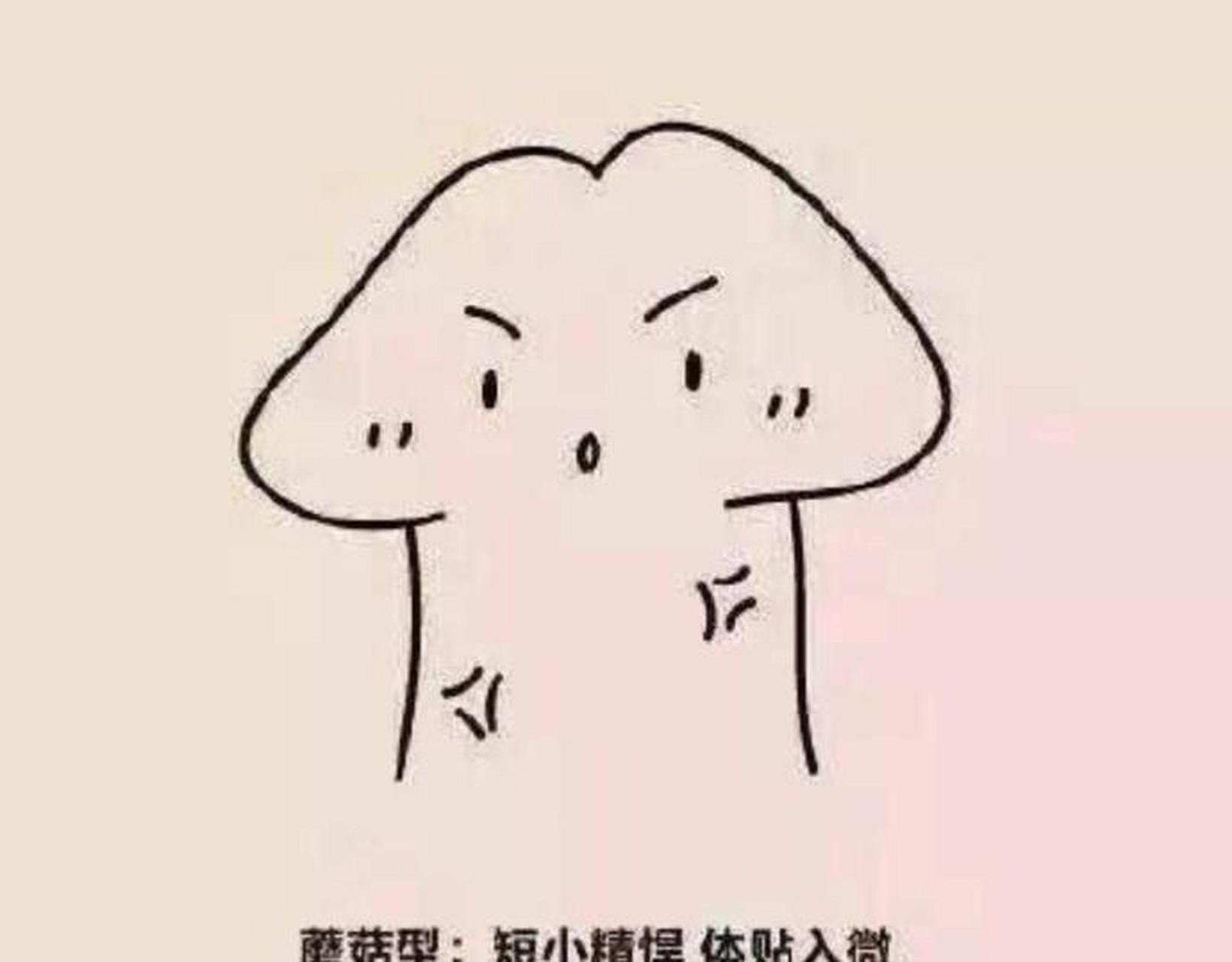 丁丁分为六种,你最喜欢哪一种?