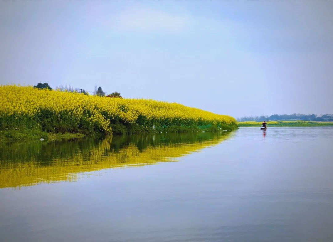 成都周边游:邛崃两河村的油菜花与江南水乡