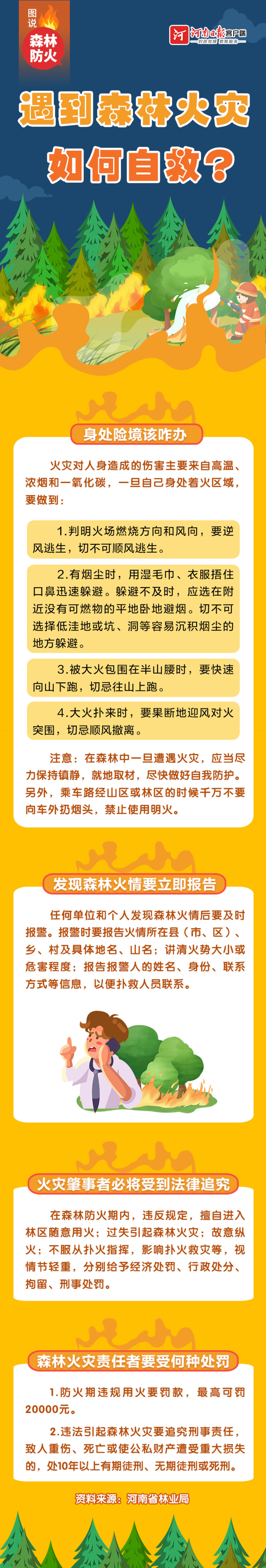 遇到森林火灾怎么办图片