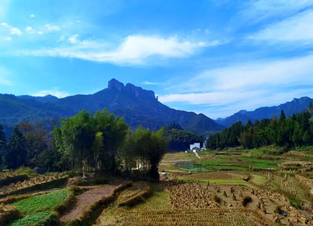 永嘉陡门梅岙村赏梅及九龙山古道徒步攻略