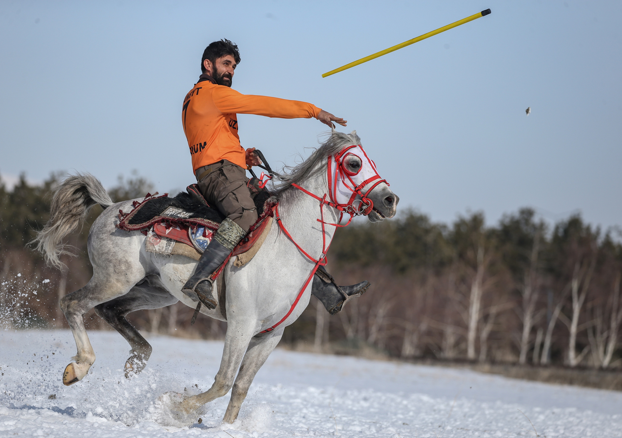 (37)土耳其:骑马掷标枪