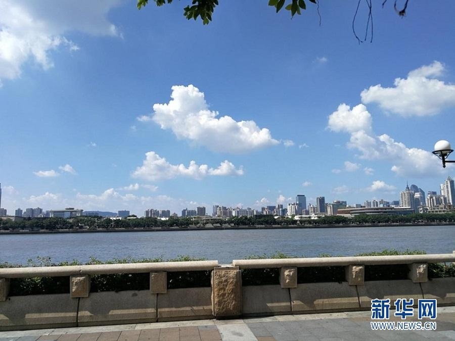 珠江水虽清 野泳不可取