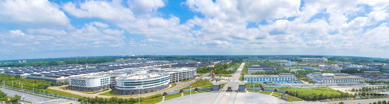 洋河股份增长密码:在奔跑中收获更多精彩