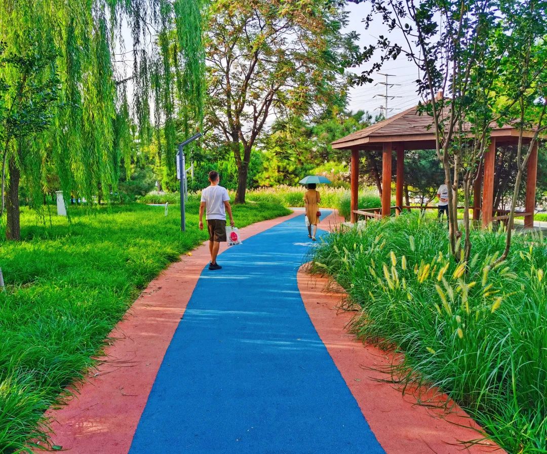 冬奥社区慢行步道