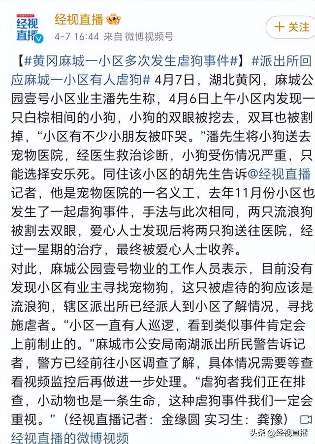 麻城文化小镇附近疑似发生虐狗事件 附近居民 狗双眼被挖 事发地周围