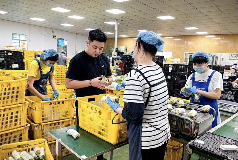 乡村振兴青春力量|张君浩:用互联网思维卖水果