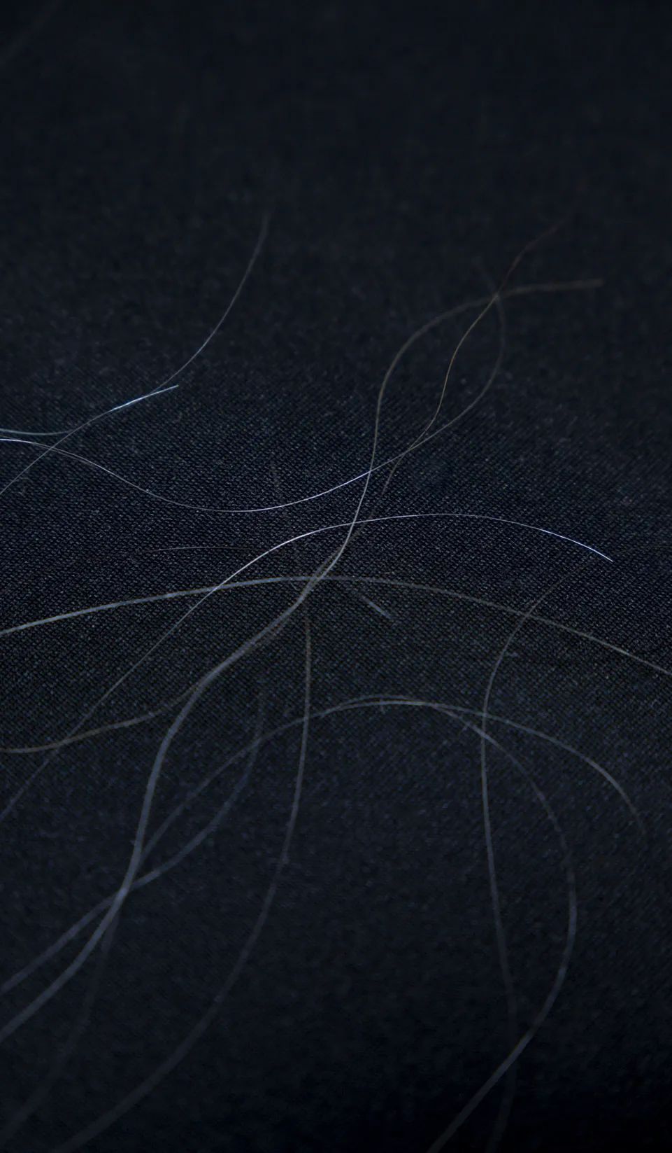 回声 echo|黄嘉慧:创作从身边人入手