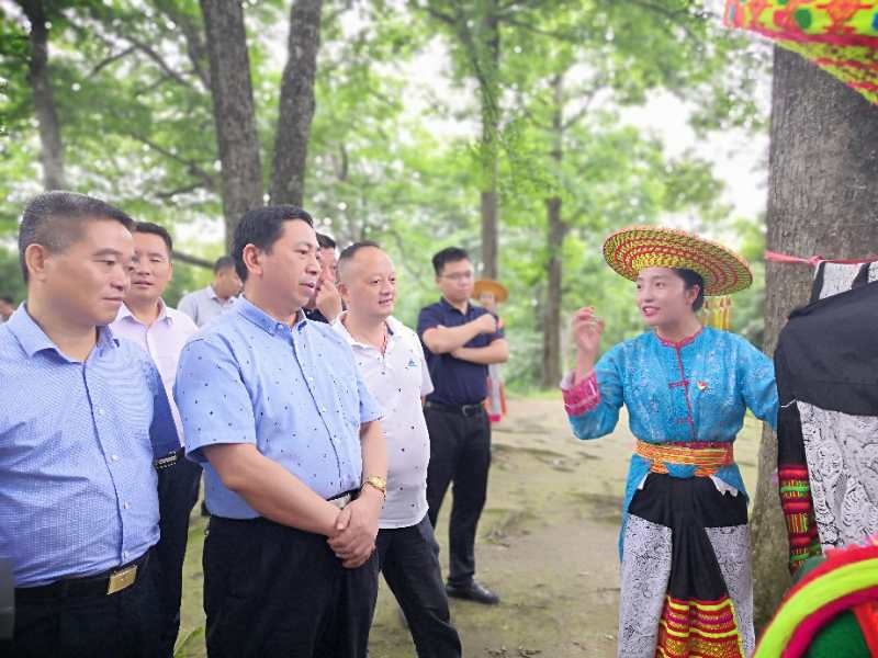 向恩明到隆回调研少数民族特色村寨保护与发展工作