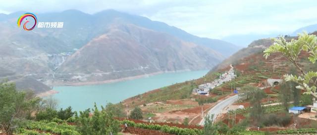 何启华:用一碗暖心红糖开启"甜蜜事业"