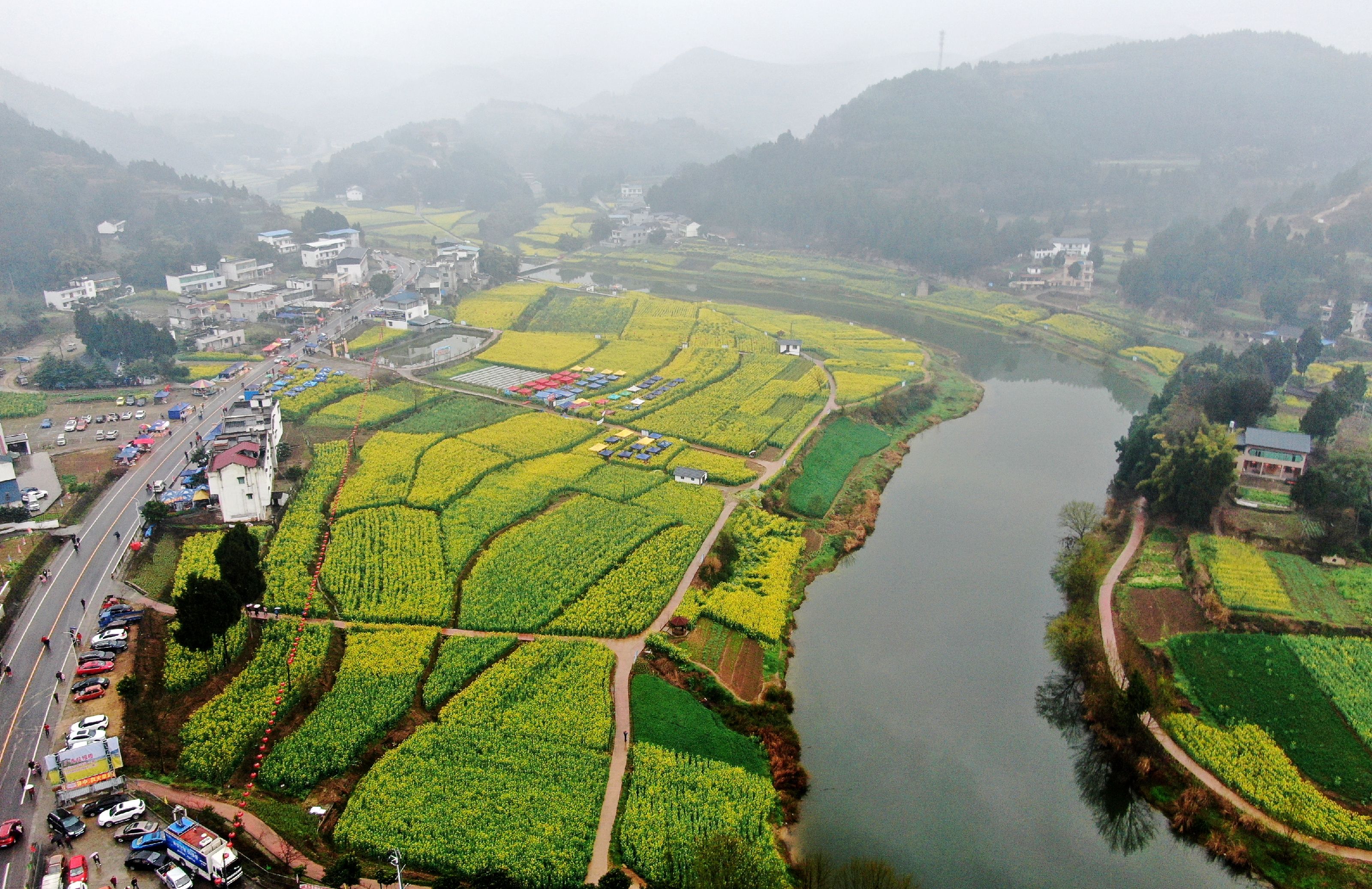 绵阳三台县第六届三元油菜花节启幕