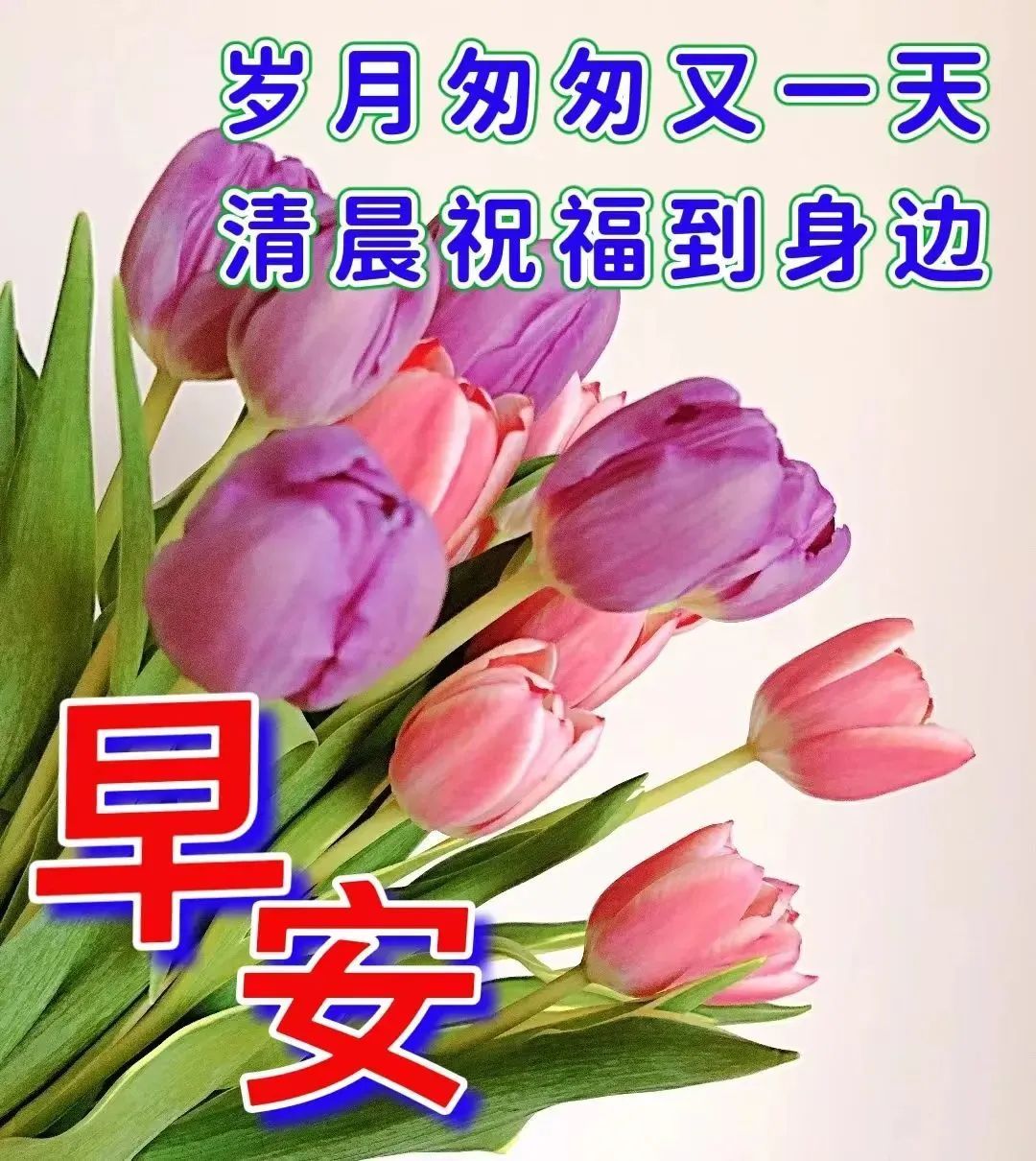 12月28日週三早上好,早安群發祝福圖片帶字帶問候語溫馨暖心