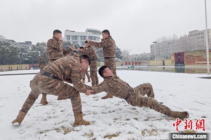 浙江武警图片图片