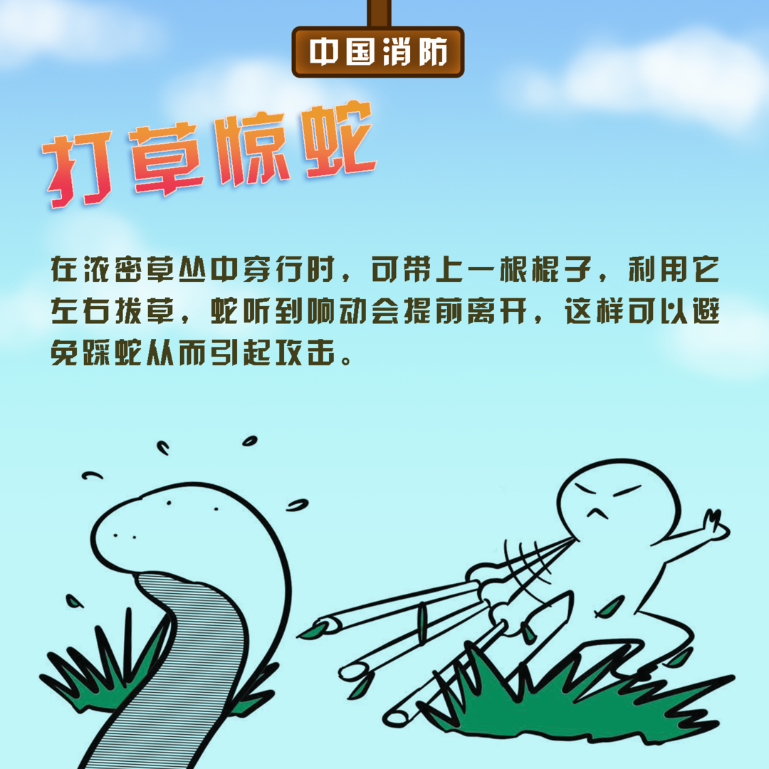 贵州最近高发!饭还没吃上,厨房却被大蛇"占领"