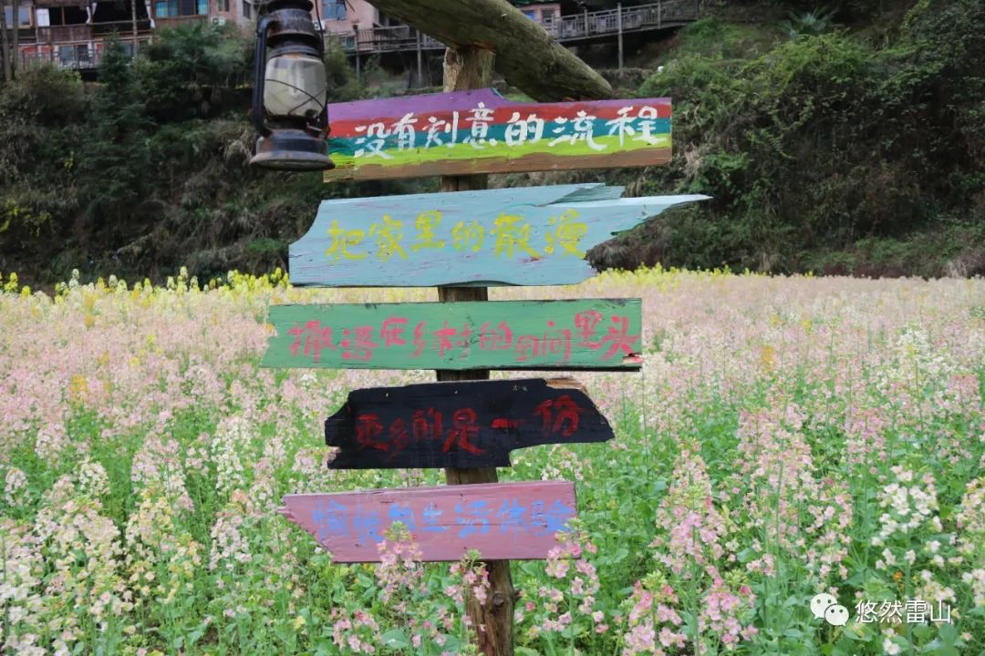 贵州气温搞满减春日美景不减反增