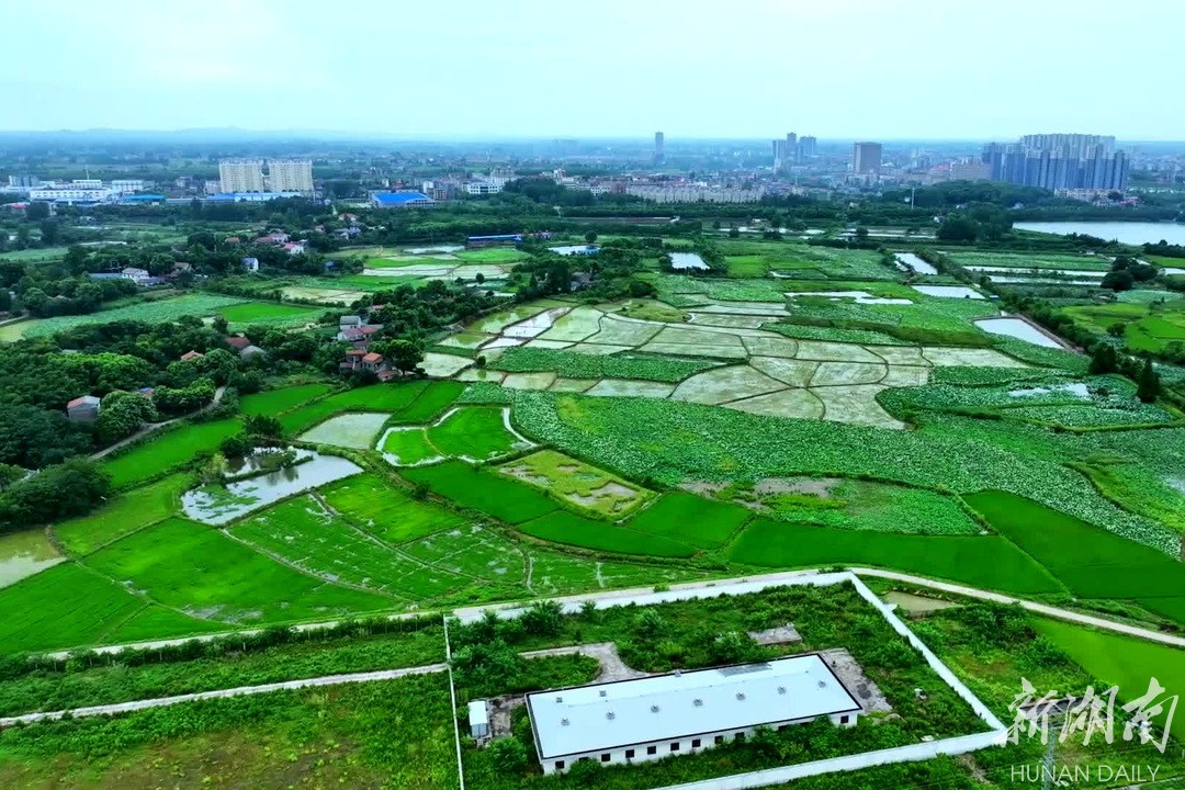 章华镇:果蔬琳琅绘丰景 文旅融合写新篇