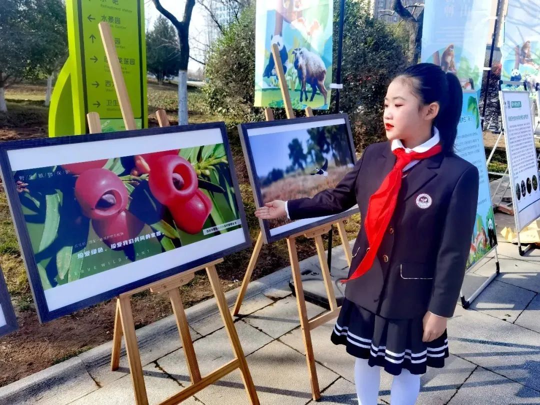 曲江第十二小学——阳光下成长,筑梦启航!