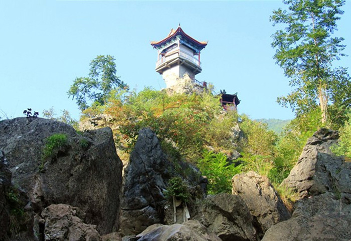 北阳山下这棵千年的老桦栎树,镇安西口镇的迎客树!