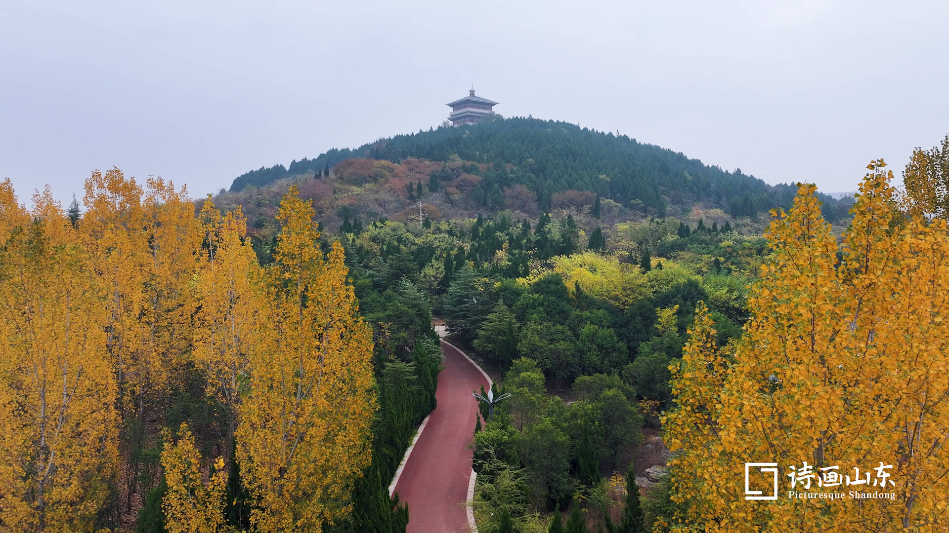 山东龟山风景区图片