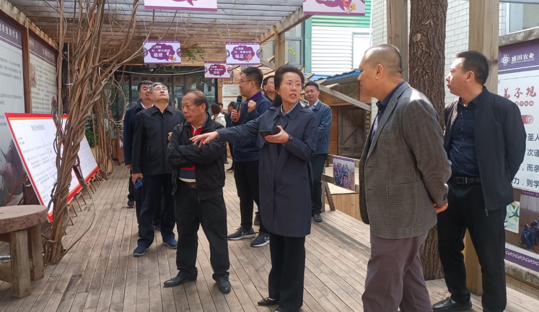 广东省政府参事赖斌一行到盛田农业调研中原农耕文化