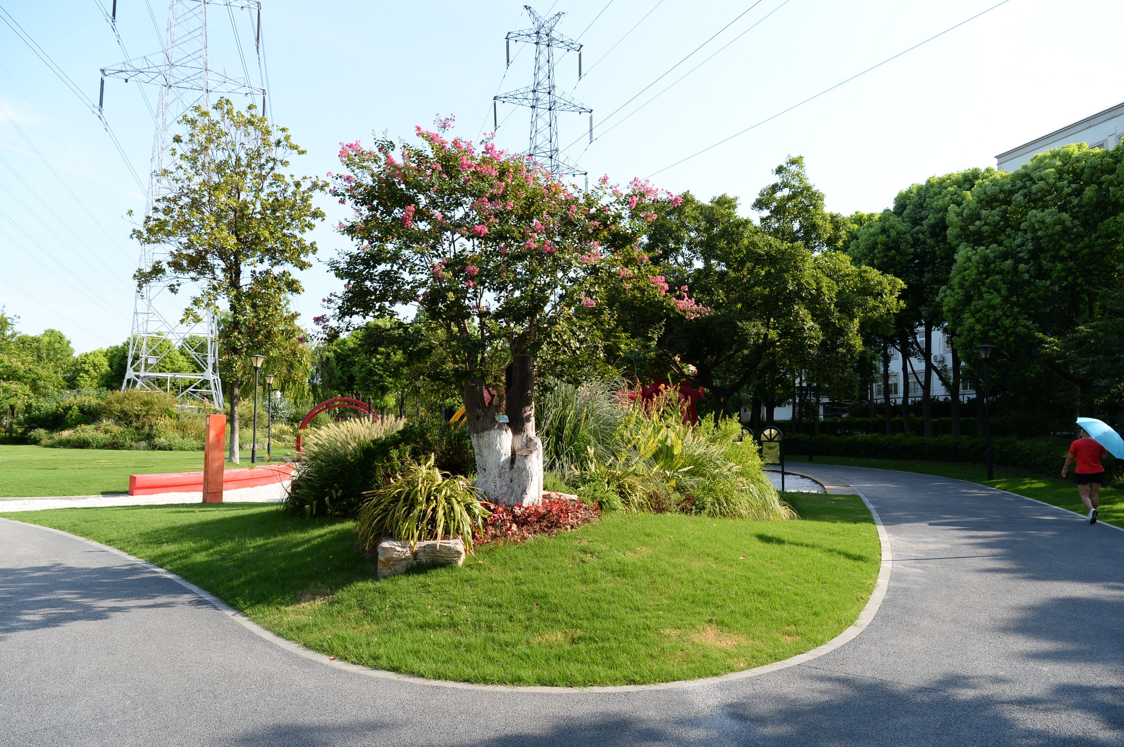 彭浦四季公园紫薇独占芳菲