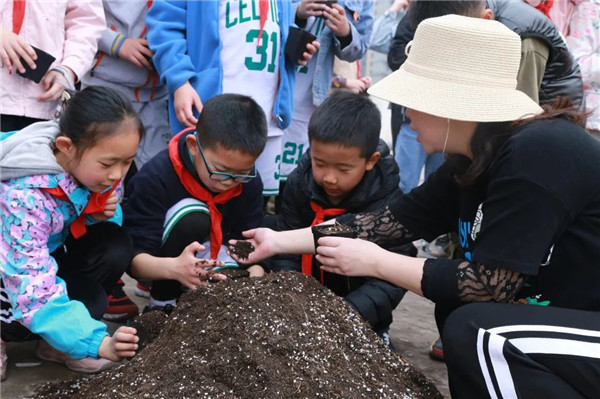 植树节,成都市金泉小学学子学习种多肉