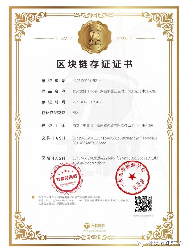 区块链数字证书是什么？区块链数字证书技术有什么用