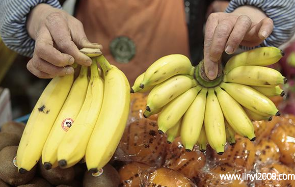 芭蕉和香蕉哪个更对身体有益(芭蕉怎么催熟)
