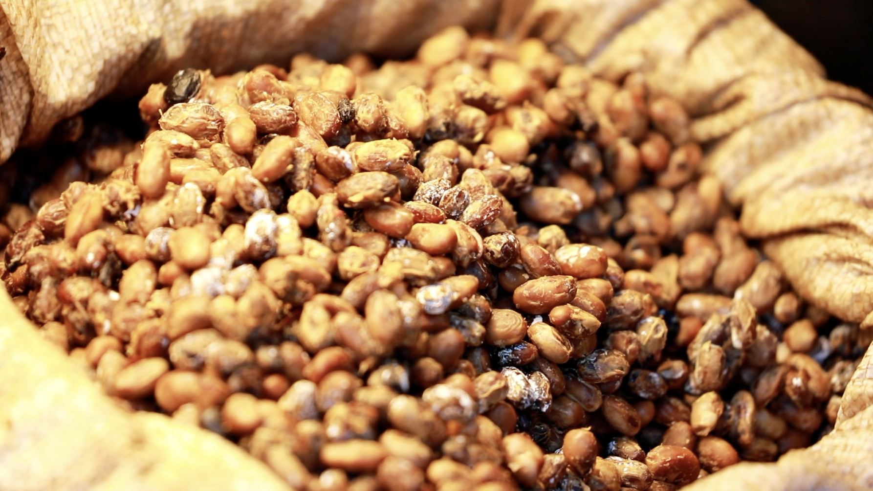 四季旅行·豫见廿四节气|叶县臭豆