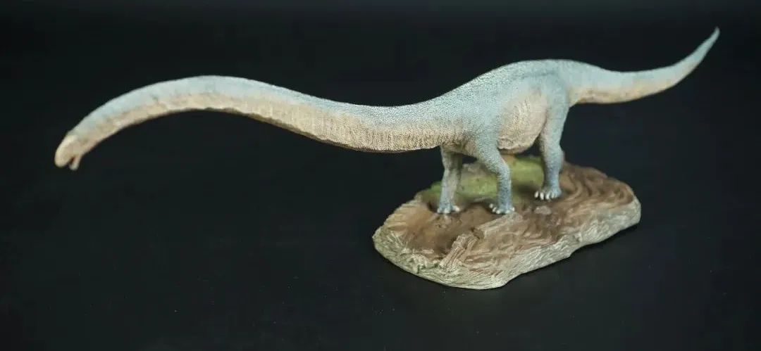 pnso博物馆系列新老马门溪龙