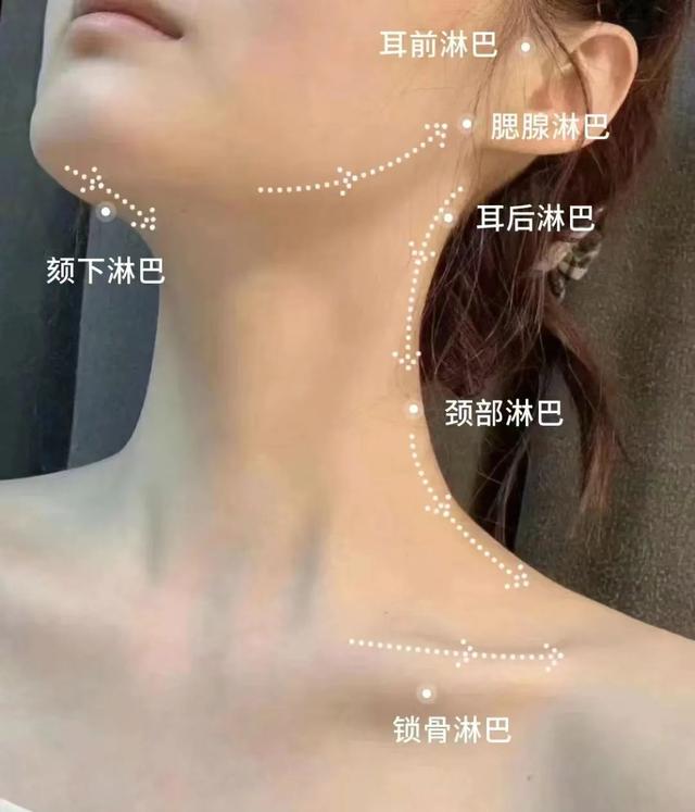 马思纯能瘦成黎吧啦,和下颌线脱不了关系!