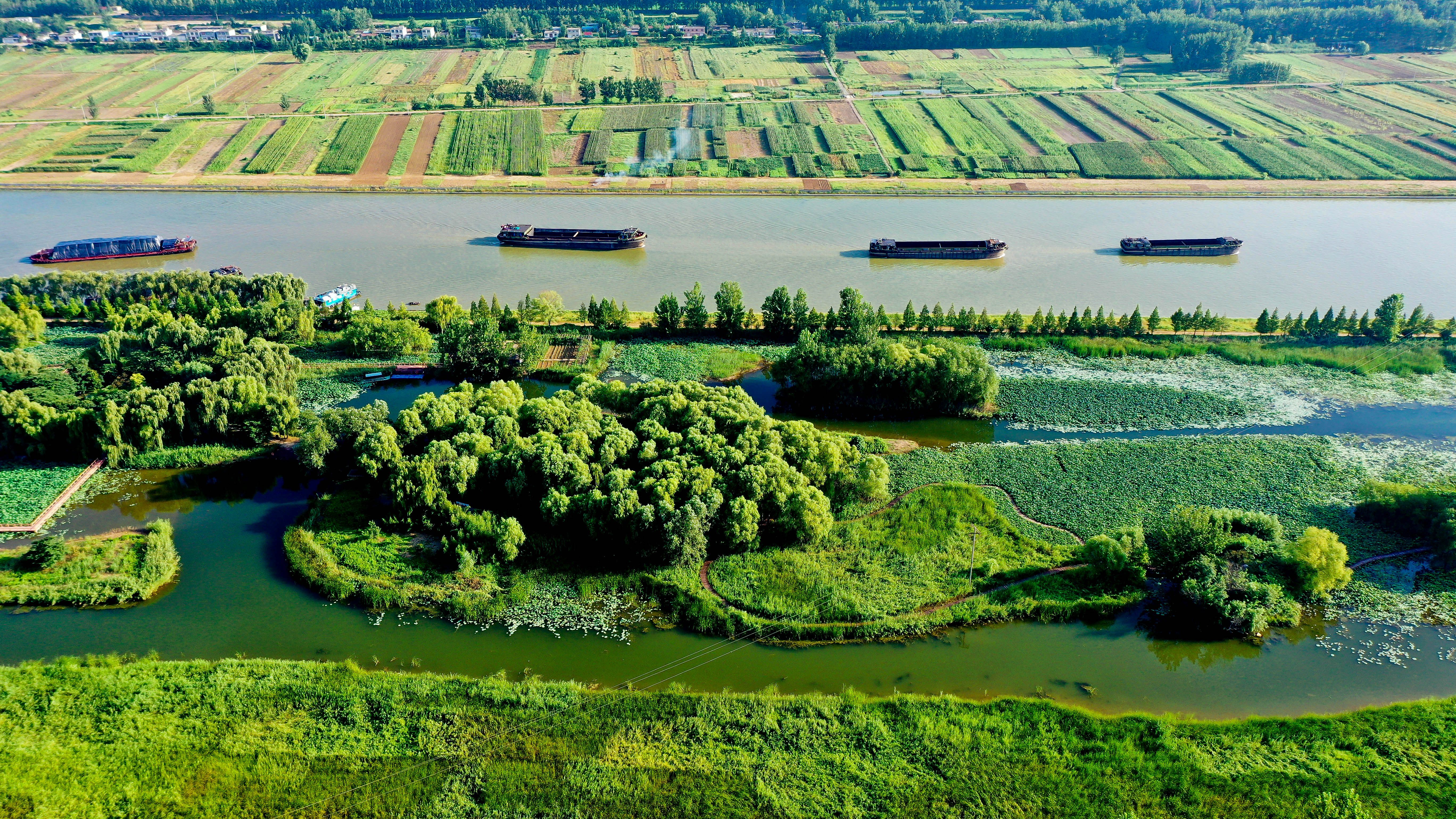 (环境)山东台儿庄:积极打造京杭大运河绿色生态长廊