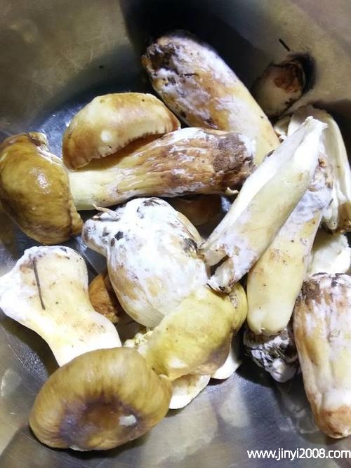 怎么看松茸坏没坏(松茸坏了吃了会中毒吗)