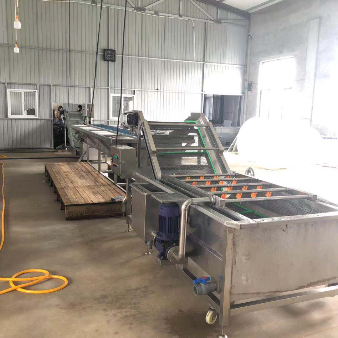 商用大型果蔬气泡清洗机-酱菜酸菜板栗红薯中药材清洗机