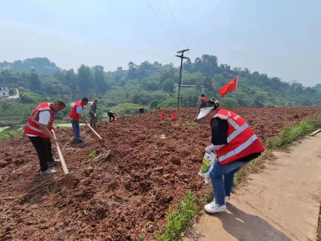 圍觀資中縣各黨支部5月主題黨日活動精彩集錦