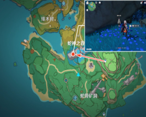 蛇神之首鲸井小弟手鞠位置?