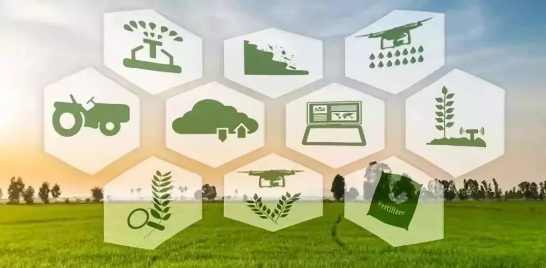 未来可期!中国科技产业迅猛发展:科技公司