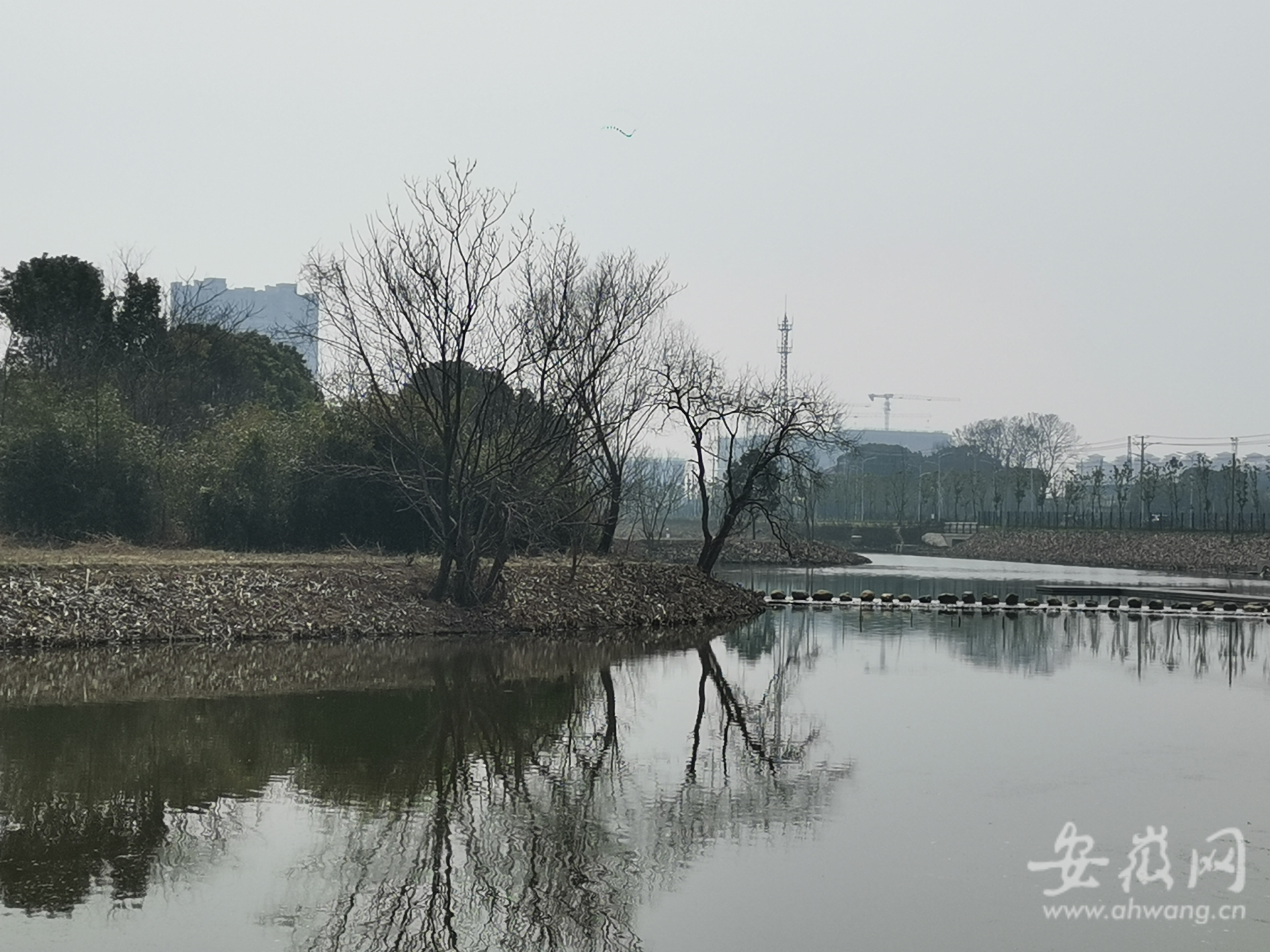 弋江区三湖一坝改造图图片