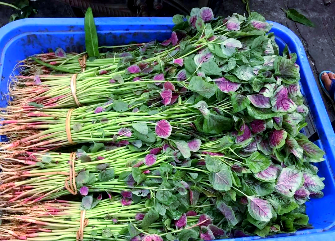 时令野菜推荐:汉菜,夏日解暑的好选择