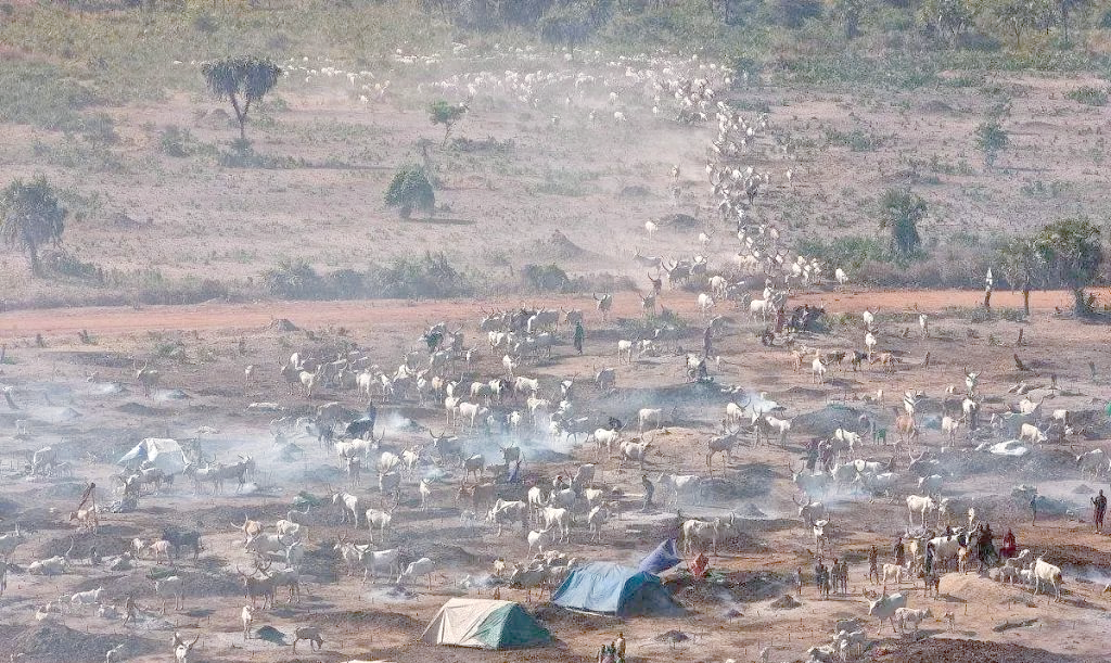 现实与虚构之间的非洲东部:瓦坎达与南苏丹的对比