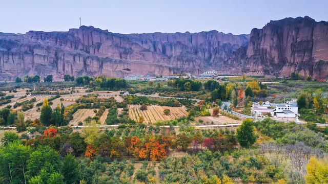 甘肃景泰:龙湾村的金秋时节
