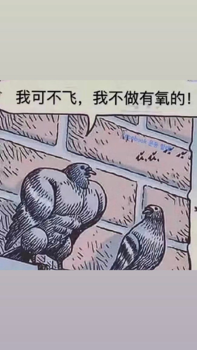 这就大可不必了吧?白敬亭ins分享健身鸟&不健身鸟搞笑对话图