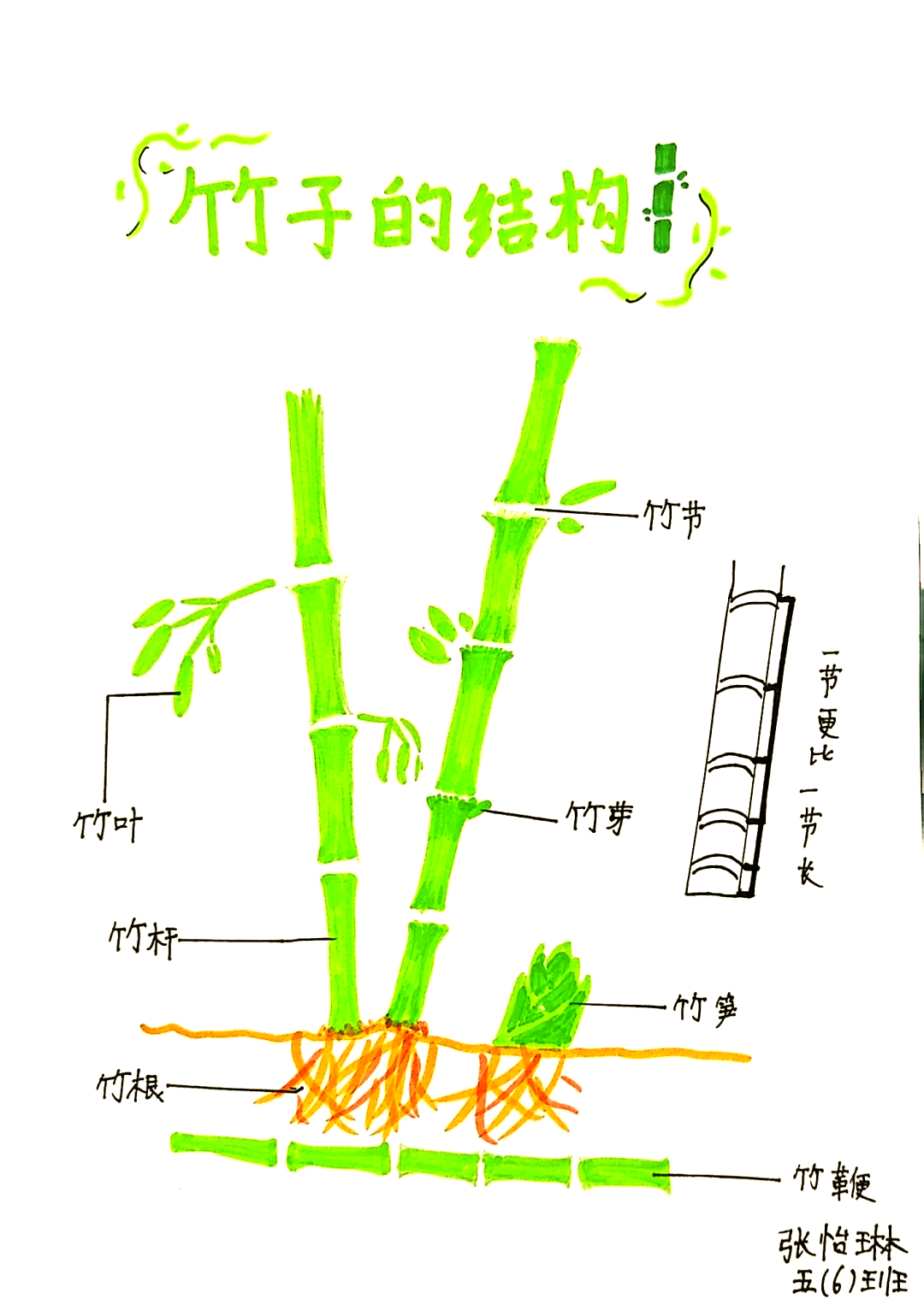 "竹"迹系列课程