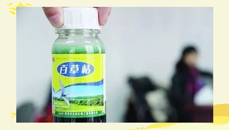 中国古玩　染付草花文水滴 中国古玩 染付草花文水滴 - メルカリ
