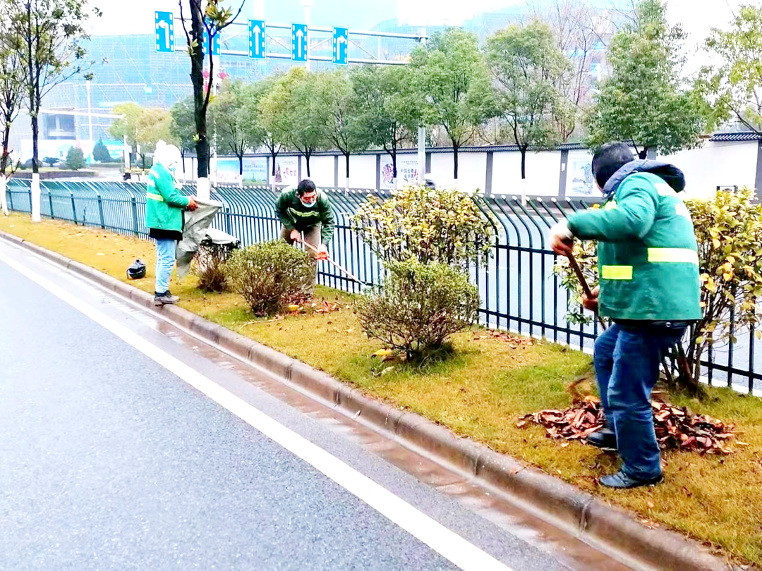 春节我在岗｜雨花园林坚守一线，增花添彩27.3万盆